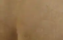 أنا بحاجة إلى نائب الرئيس في بوسها.