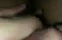 غنيمة كبيرة خشب الأبنوس thot استغل من قبل الديك الأسود في منزلها.