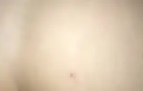 سكس حريم جسمه كبير